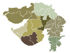 પાટણ LCBની રેડ