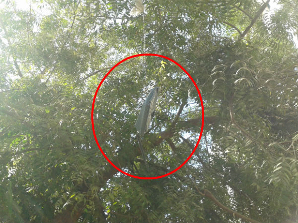 ઇન્ફોસિટીમાં ભેદી ધડાકો