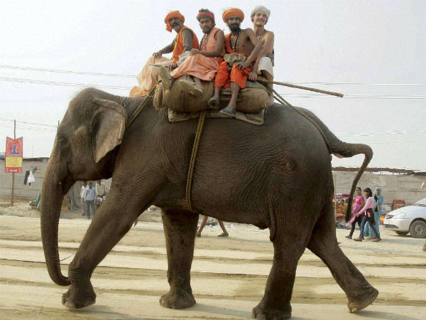મહાકુંભની રંગીન તસવીરો...
