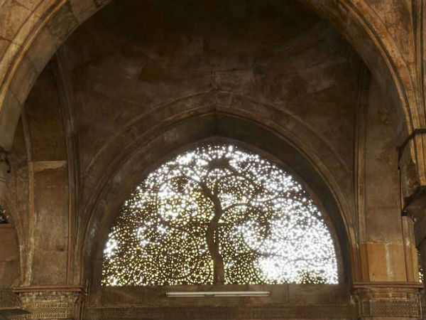 એક લટાર અમદાવાદમાં: સીદી સઇદ મસ્જિદ