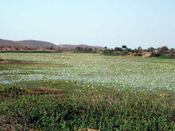 અલૌકિકતાની મૂરત પણ છે ગુજરાતનું આ ગામ