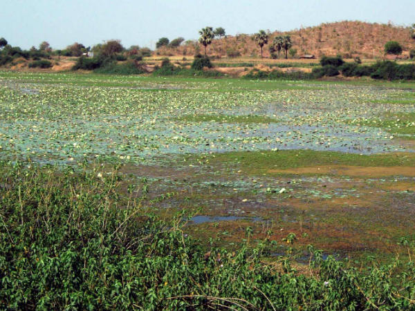 અલૌકિકતાની મૂરત પણ છે ગુજરાતનું આ ગામ