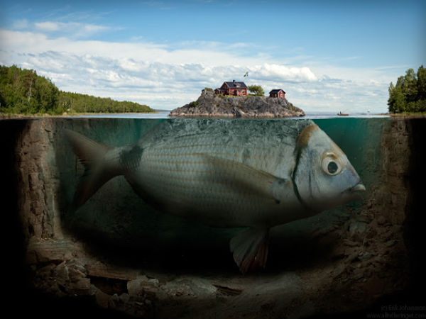 Amazing Photo Manipulation