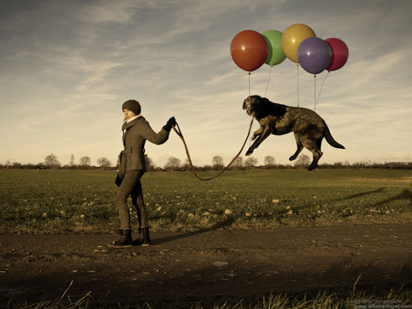 Amazing Photo Manipulation