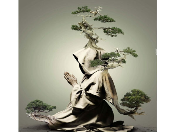Amazing Photo Manipulation