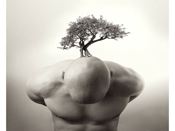 Amazing Photo Manipulation