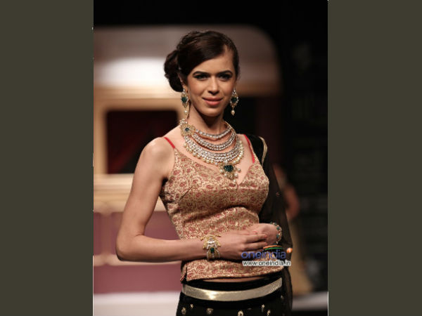 Photo : India International Jewellery Week 2013 in Delhi