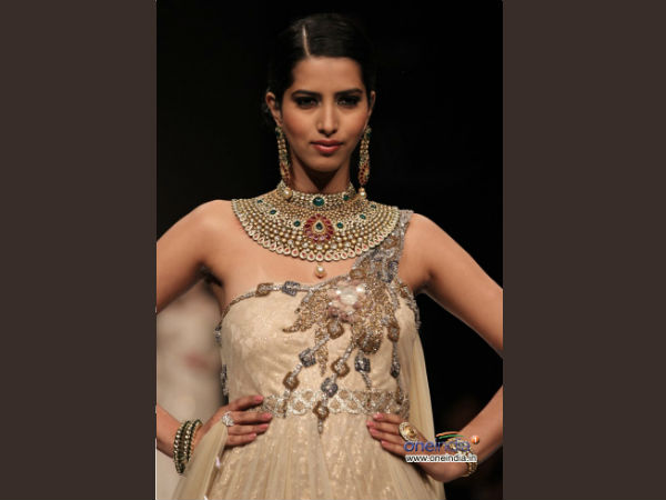 Photo : India International Jewellery Week 2013 in Delhi