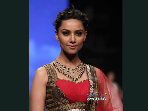 Photo : India International Jewellery Week 2013 in Delhi