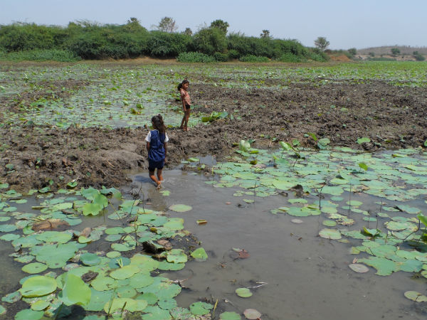 ડેસર ભયાવહ ભૂતકાળ ભુલાવી ઝંખે છે વિકાસનો પથ