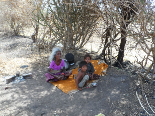 ડેસર ભયાવહ ભૂતકાળ ભુલાવી ઝંખે છે વિકાસનો પથ