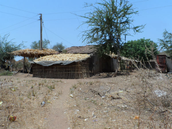 ડેસર ભયાવહ ભૂતકાળ ભુલાવી ઝંખે છે વિકાસનો પથ