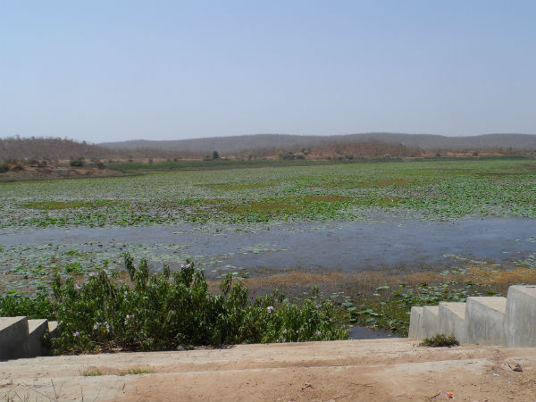 ડેસર ભયાવહ ભૂતકાળ ભુલાવી ઝંખે છે વિકાસનો પથ