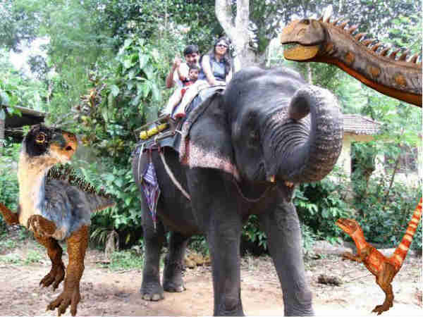 વેકેશનનું આકર્ષણ બન્યો છે આ થીમ પાર્ક