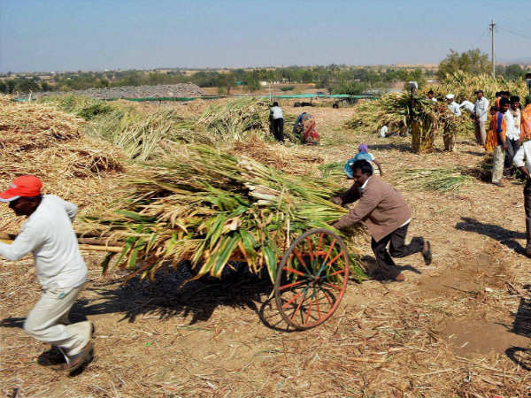 આ 50 પ્રશ્નોના જવાબ શોધી રહી છે દેશની જનતા