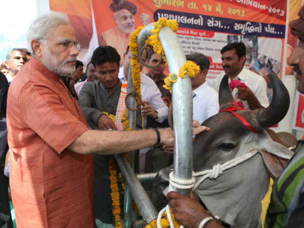 krishi mahotsav 2013