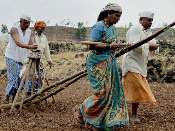 સાંગલીનું રોજિંદા જીવન