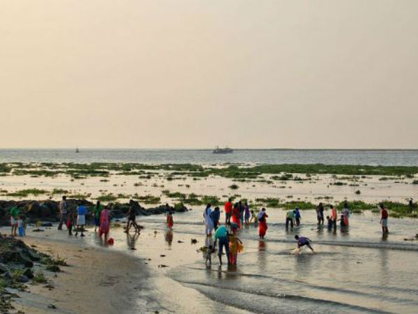 પ્રાચિન અને આધુનિકતાનું સંગમ એટલે કોચી