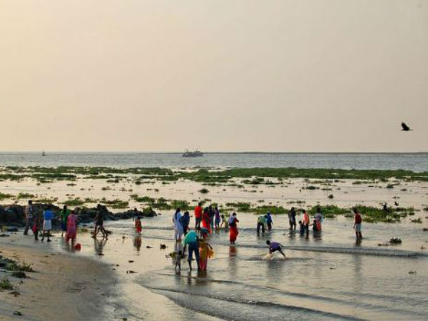 પ્રાચિન અને આધુનિકતાનું સંગમ એટલે કોચી