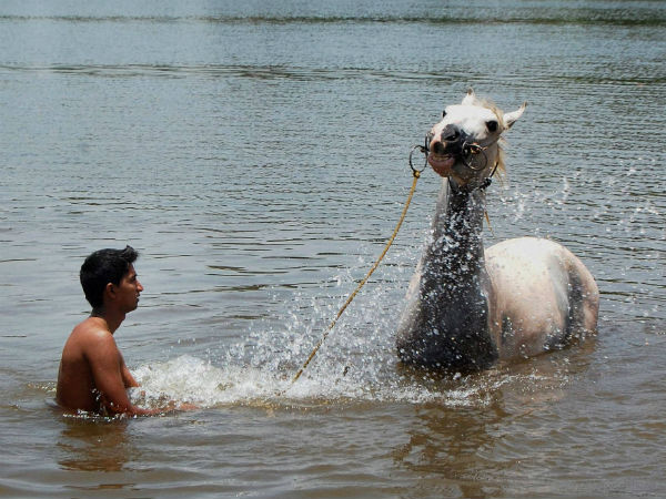 ગરમીમાં થોડીક ટાઢક