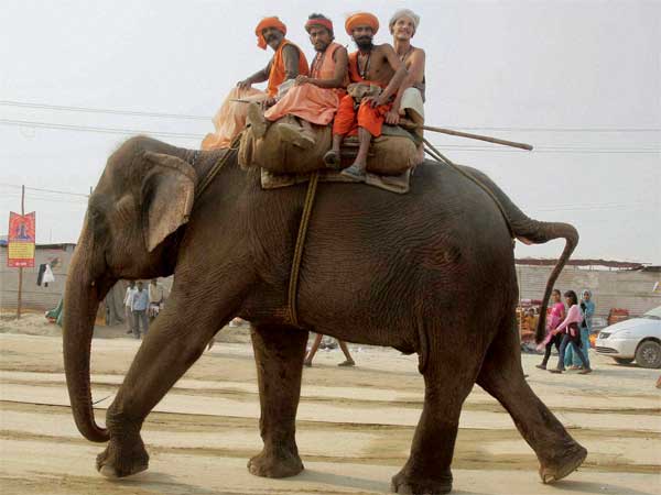 હાથી અંગેની રસપ્રદ વાતો