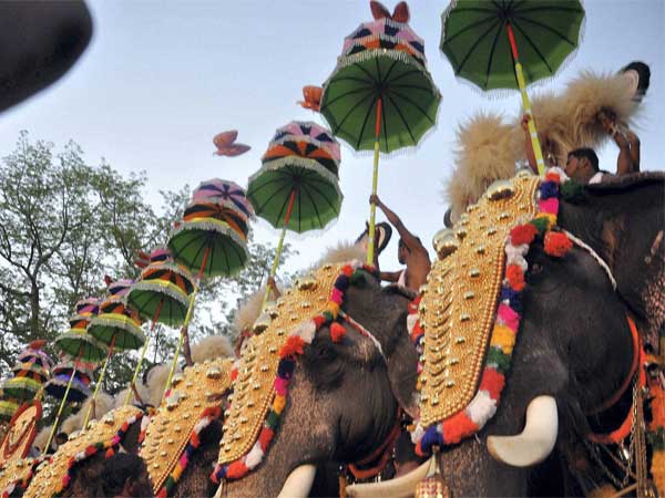 હાથી અંગેની રસપ્રદ વાતો