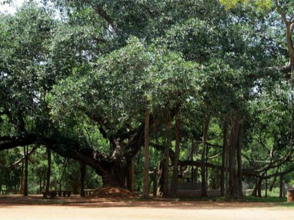 નિહાળો સુંદર અને રમણિય પોન્ડેચરીનો નજારો