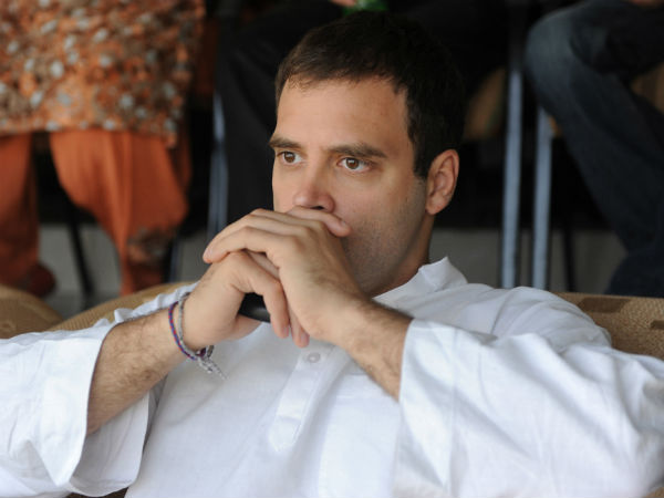 રાહુલ ગાંધી, કોંગ્રેસ ઉપાધ્યક્ષ