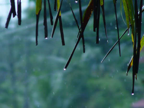 Will monsoon make early entry to Ahmedabad like Mumbai?