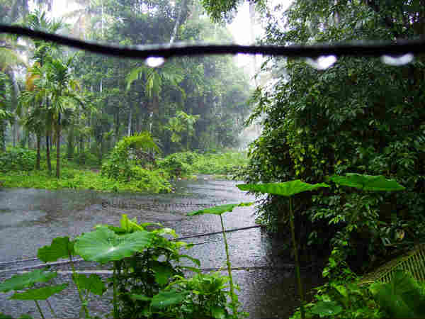 Will monsoon make early entry to Ahmedabad like Mumbai?