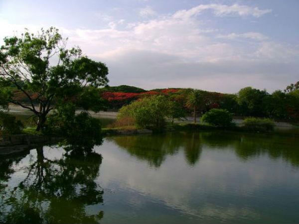 લાલબાગનું તળાવ