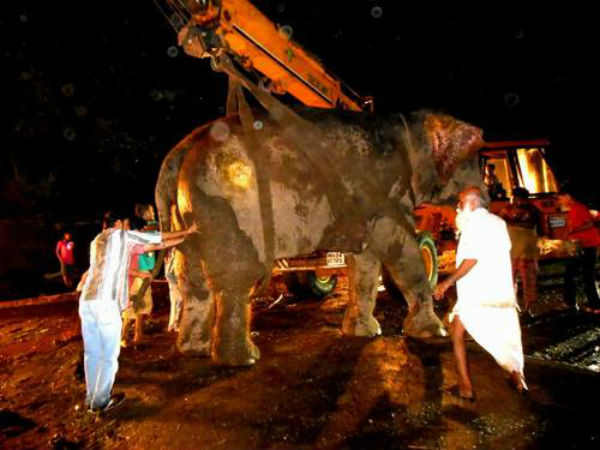 બ્લૉગ ઉપર તસવીરો