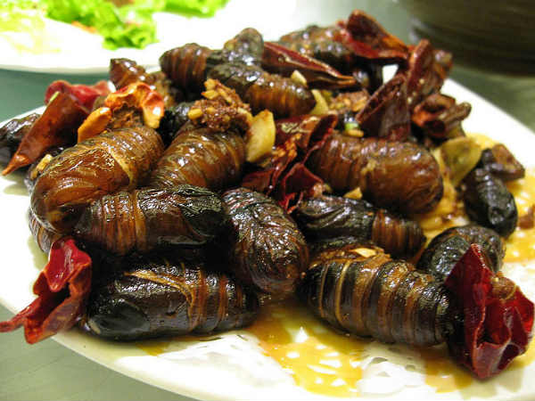 સિલ્ક વાર્મઃ કોરિયા