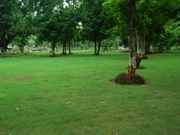 હરીયાળા શહેરમાં બીજા ક્રમે