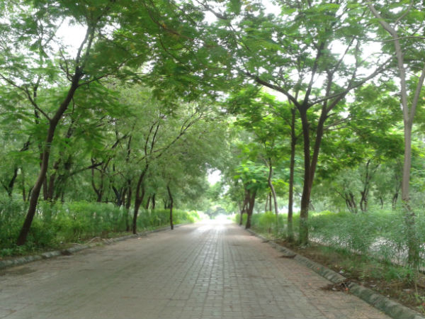 નંબર બનાવવાના પ્રયત્નો