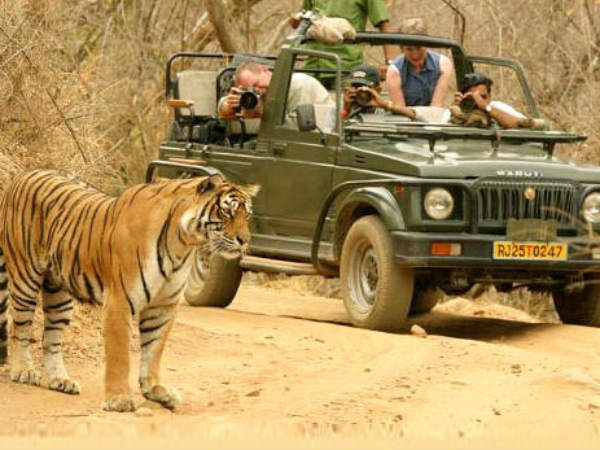 જોશપૂર્ણ સંસ્કૃતિ જુવો