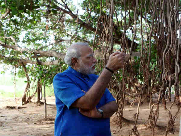 ઉપેક્ષાએ કર્યાં વ્યથિત
