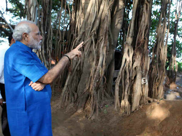 ધ્યાન કુટીરો બનશે