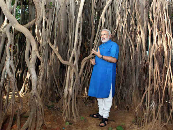 ગ્રામજનો આશ્ચર્યમાં મૂકાયાં