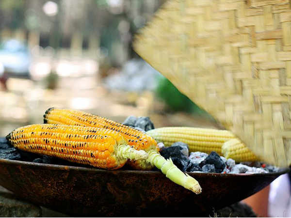 ફાઇબર