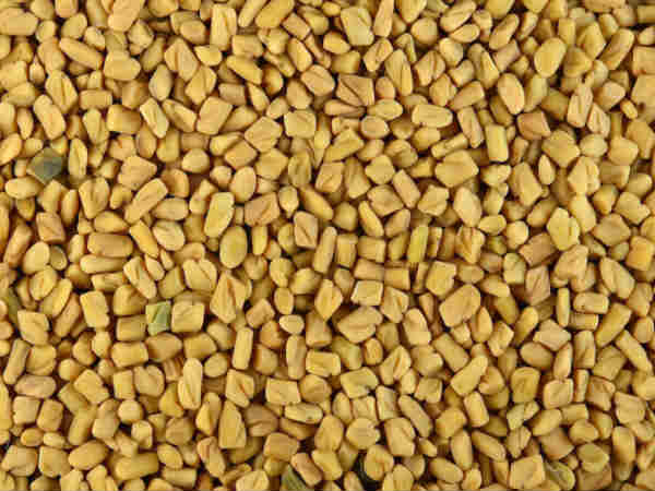 આ છે ખાદ્ય સુરક્ષા બિલનો ઉદ્દેશ
