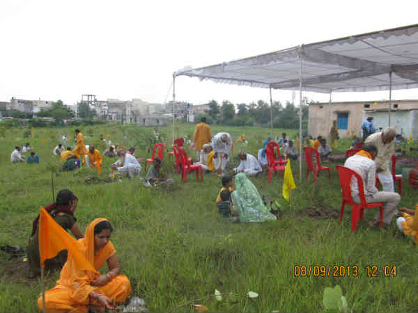 1 હજાર છોડવાઓનું રોપણ