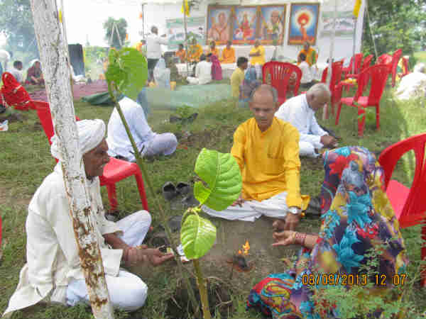 1 હજાર છોડવાઓનું રોપણ