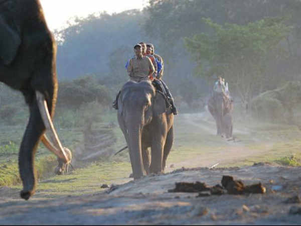 હાથીની શાહી સવારી