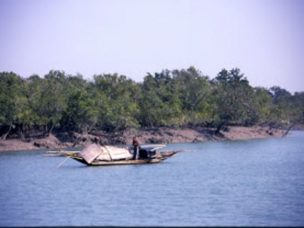 બેંગાલ સ્વામ્પ્સ- પશ્ચિમ બંગાળ