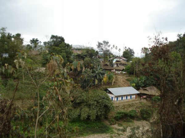 અલોંગની હરિયાળી