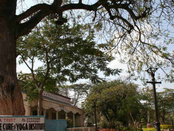હોસ્પિટલમાં સંપૂર્ણ શાંતિ