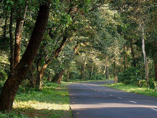 કાજીરંગાથી તવાંગ