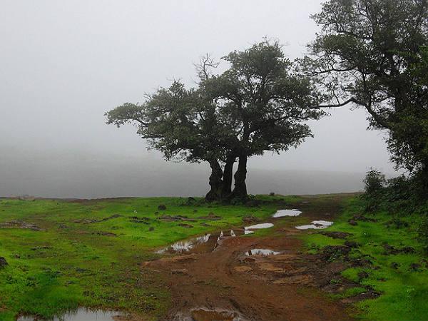 ગુફાઓનું શહેર લોનાવાલા
