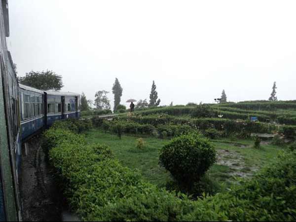 રેલવેમાંથી વાદીઓનો સુંદર નજારો
